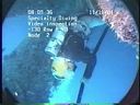 Specialty Diving - © 2010 - C.R. Watson, Watson Enterprises